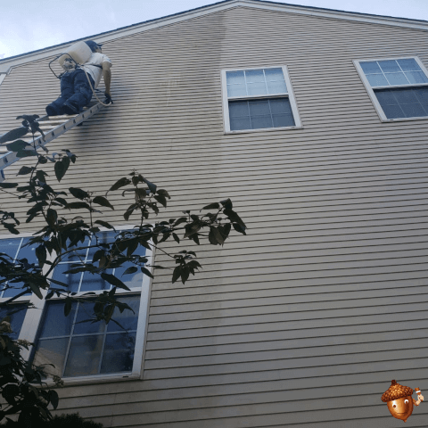 Pressure Washing